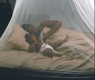 Anti rede branca do inseto, diamante/rede de mosquito sextavada da malha para a cama