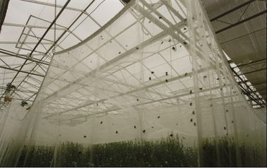 Rede do inseto da agricultura plástica do jardim anti, rede do inseto das plantas anti